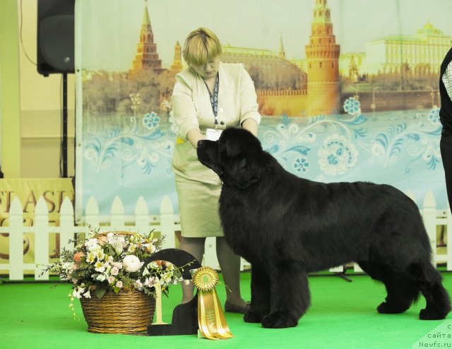 Фотография № 91566