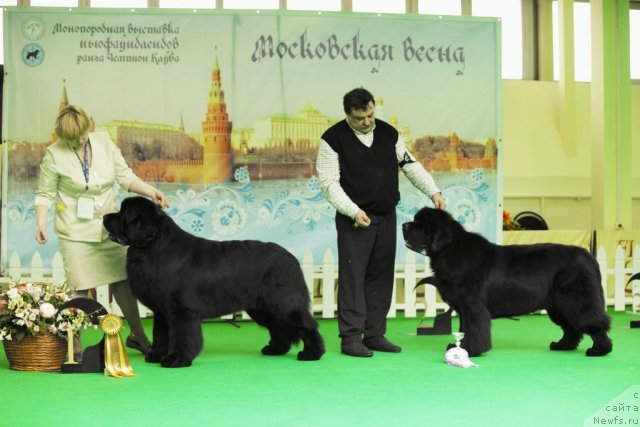 Фотография № 91567