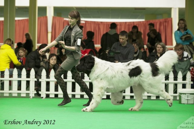 Фотография № 91568