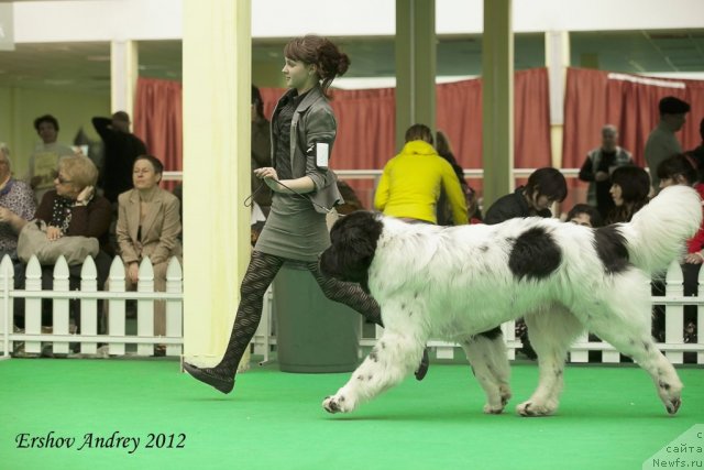 Фотография № 91569