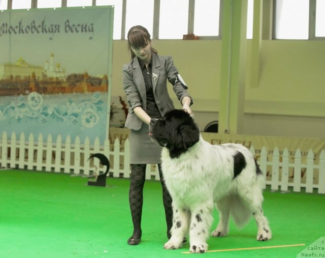 Фотография № 91570