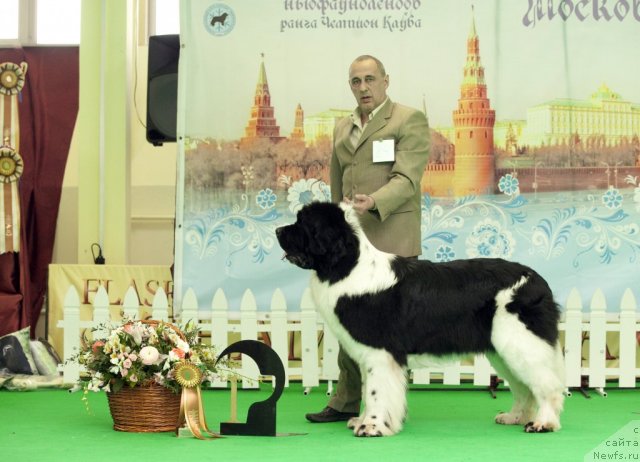 Фотография № 91575