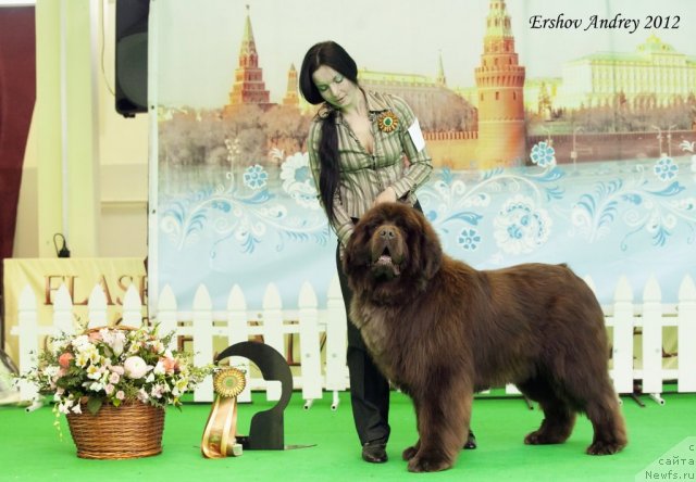 Фотография № 91576