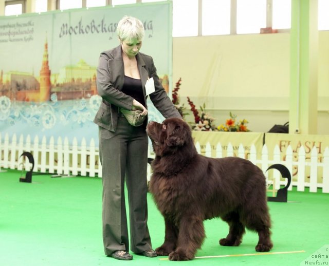 Фотография № 91578