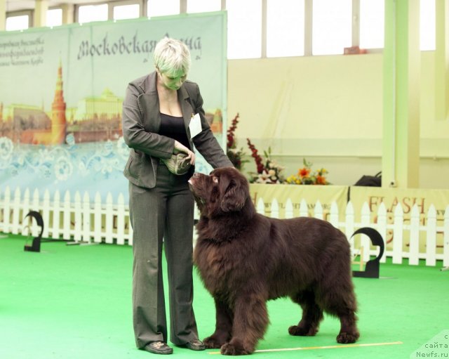 Фотография № 91579