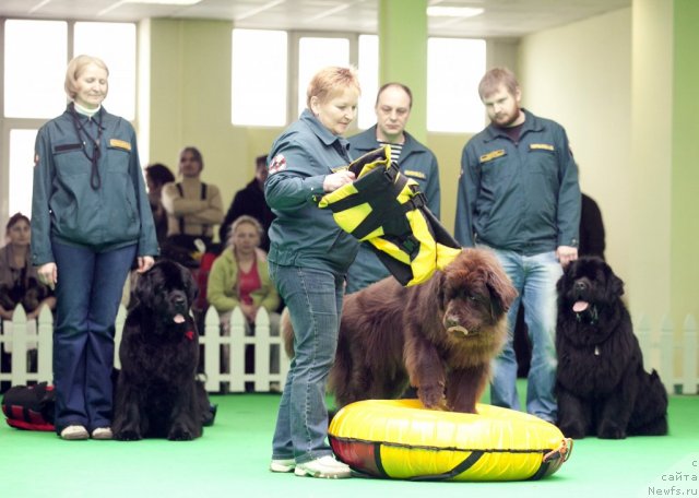 Фотография № 91586