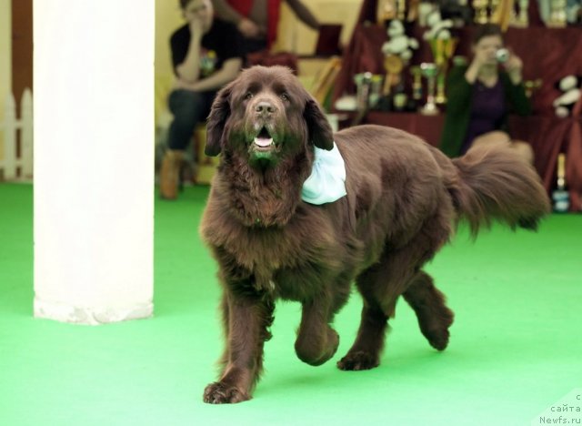 Фотография № 91589