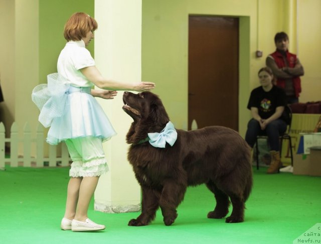 Фотография № 91590