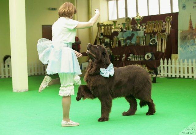 Фотография № 91592