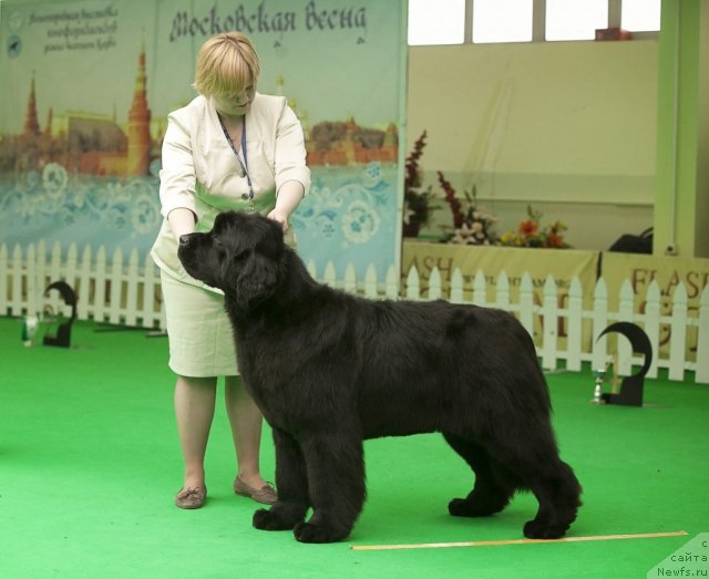 Фотография № 91619