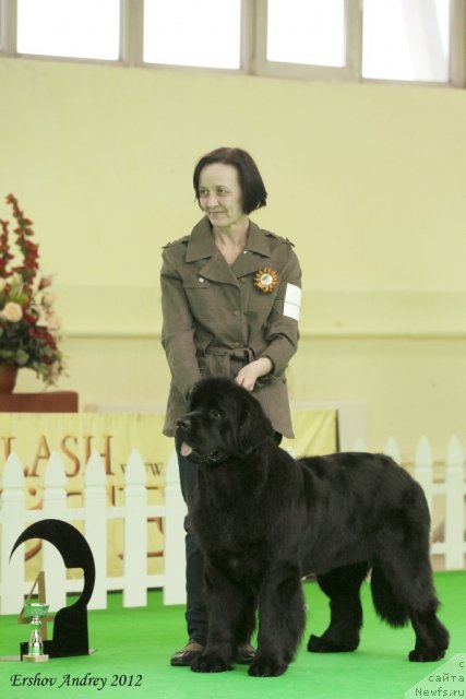 Фотография № 91628