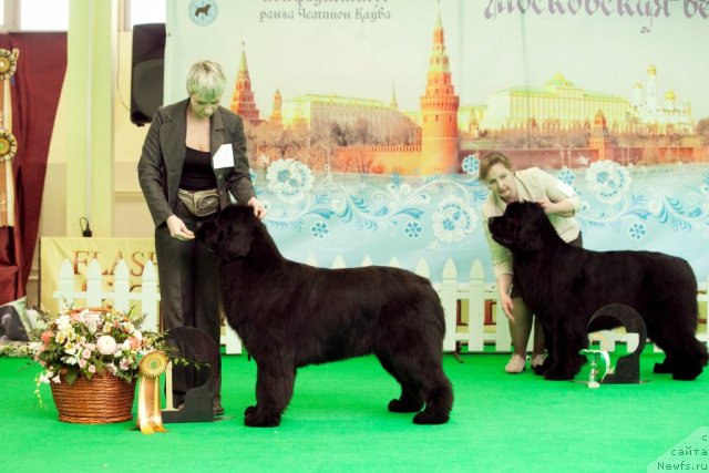 Фотография № 91630