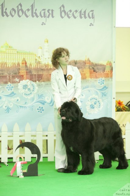 Фотография № 91639