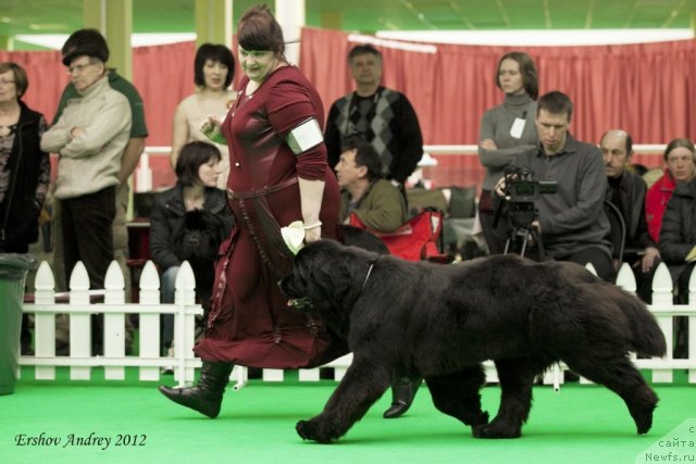 Фотография № 91642