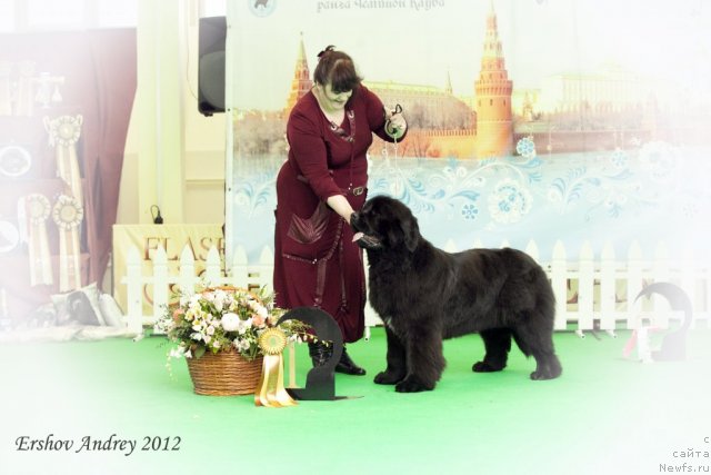 Фотография № 91643