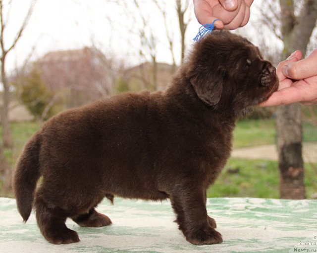 Фотография № 91649