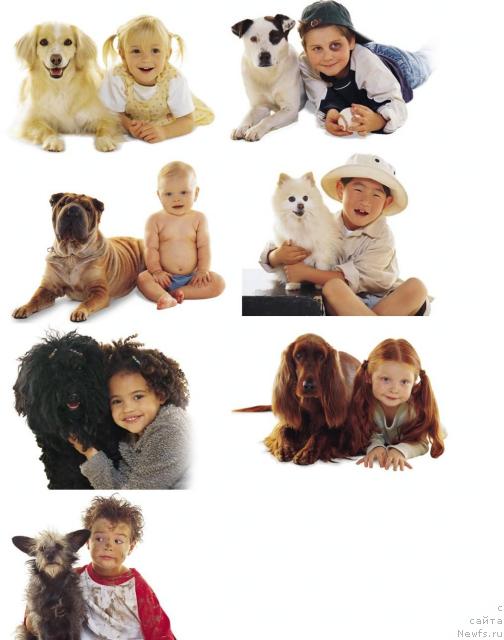 Фотография № 9165