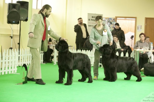 Фотография № 91653