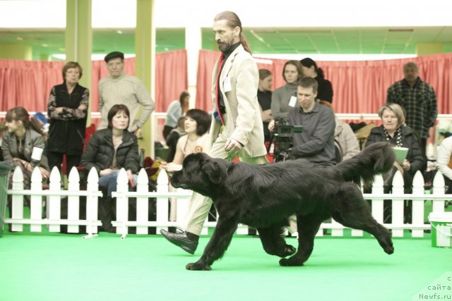 Фотография № 91654