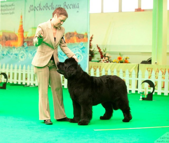 Фотография № 91686