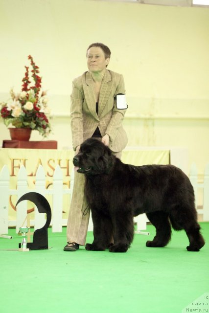 Фотография № 91687