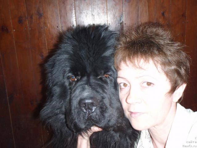 Фотография № 9169