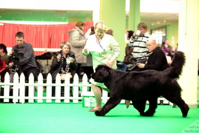 Фотография № 91692