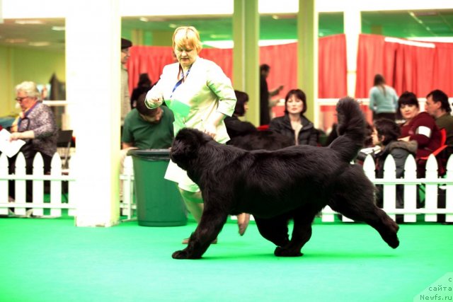 Фотография № 91695