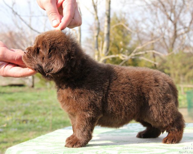 Фотография № 91700