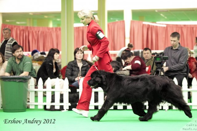 Фотография № 91704