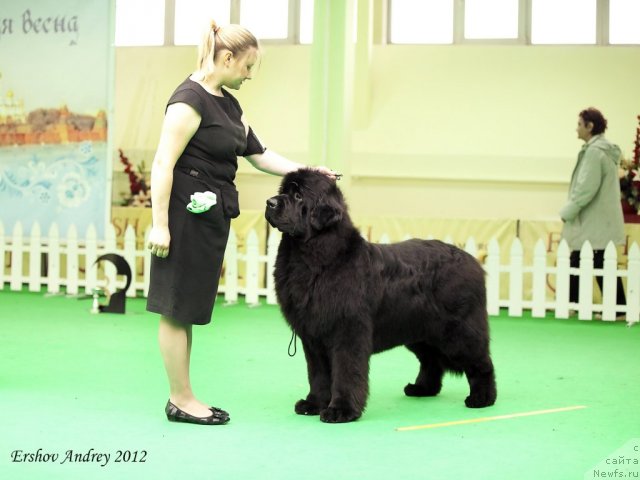 Фотография № 91708