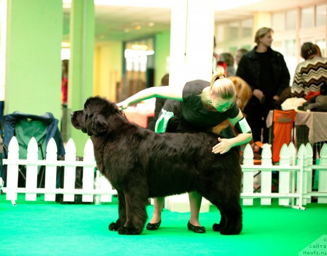 Фотография № 91709