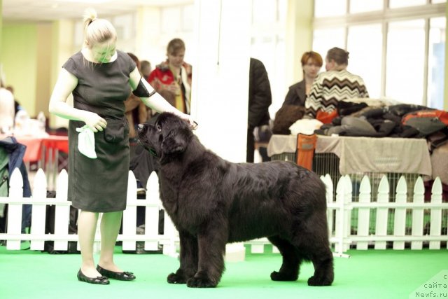 Фотография № 91718