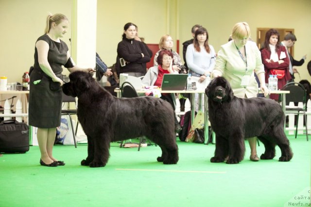 Фотография № 91721