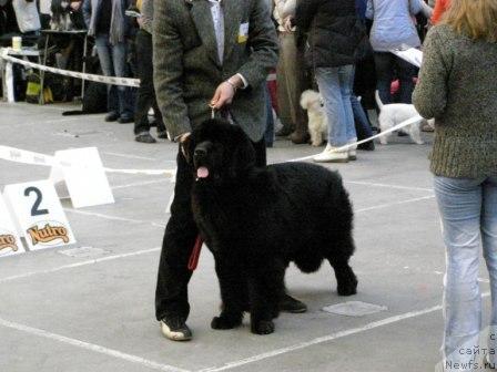 Фотография № 9174