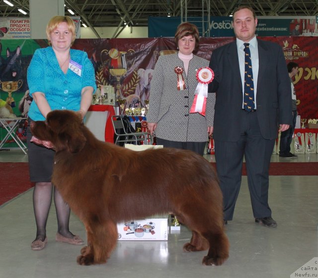 Фотография № 91777