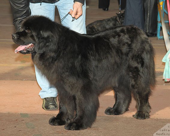 Фотография № 91778