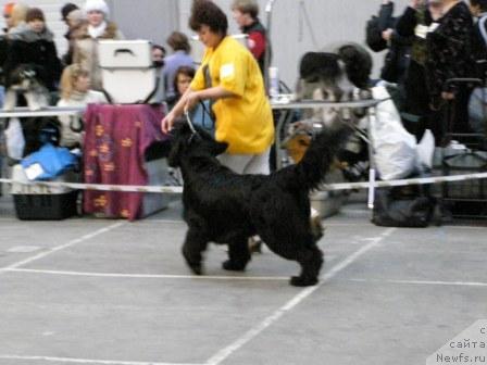 Фотография № 9178