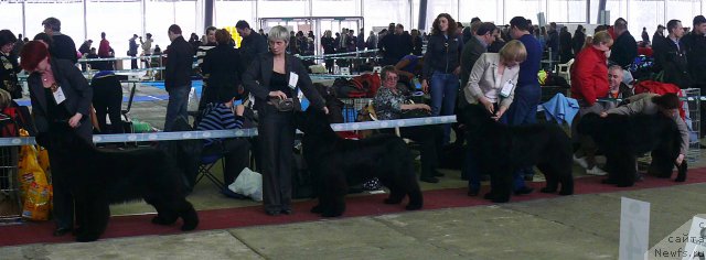 Фотография № 91781