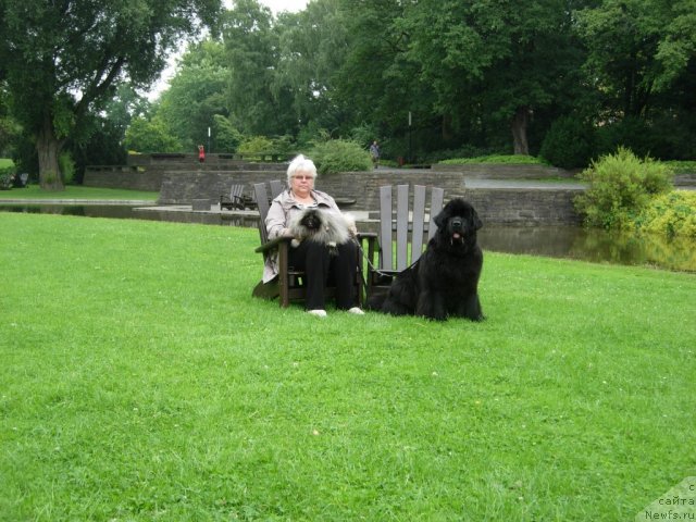 Фотография № 91784