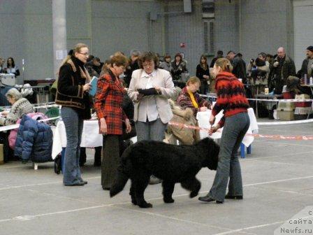 Фотография № 9179