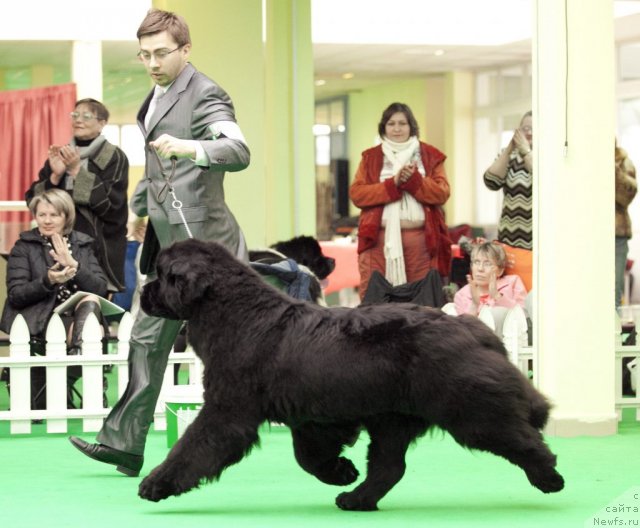 Фотография № 91795