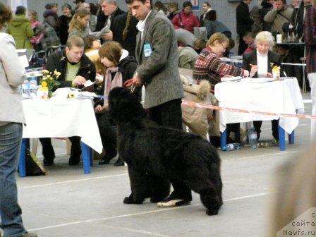 Фотография № 9180