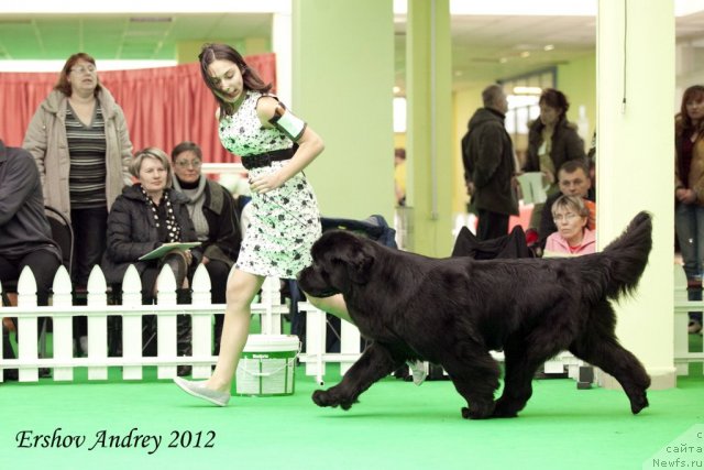 Фотография № 91803