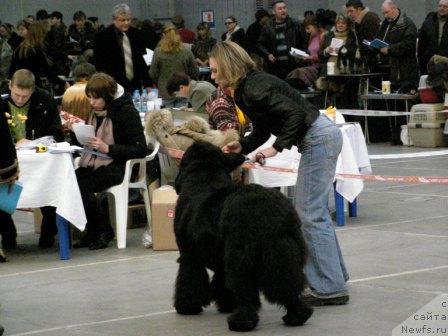 Фотография № 9181