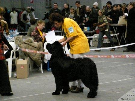 Фотография № 9182