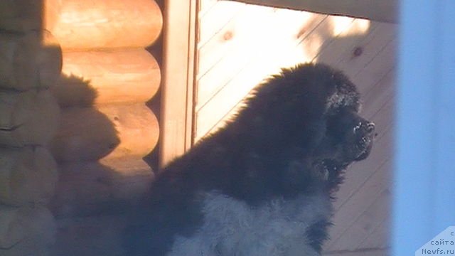 Фотография № 91834