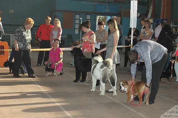 Фотография № 91837