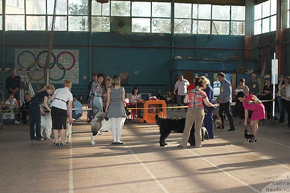 Фотография № 91838