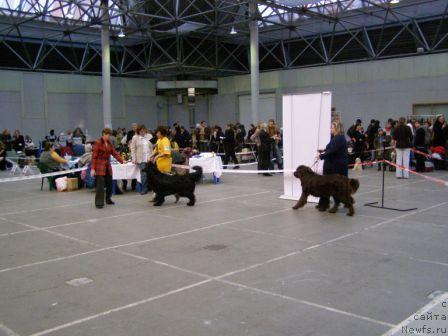 Фотография № 9184